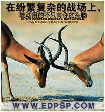 EDPγҳ